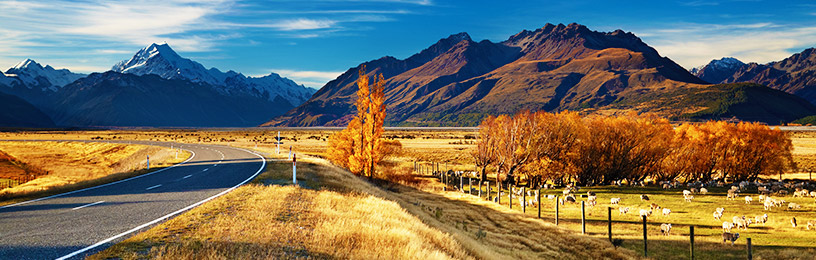new zealand scenery